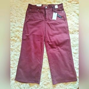 BRAND NEW Judy Blue Oxblood Tummy Control High Rise Wide Leg Crop Pant 15/32